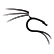 Kali Linux